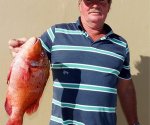 Birkenheaders se Blinklywe